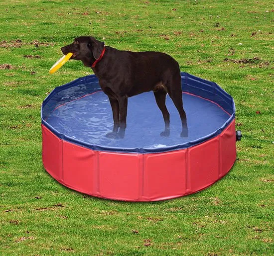 120 Cm Pet Swimming Pool, Foldable - Red