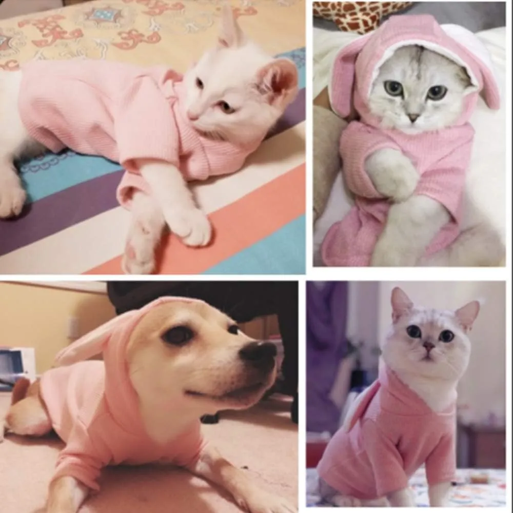 ANIAC Dog Hoodies Sweatshirt with Bunny Ears Spring Puppy Clothes for Small Dog Girl Boy Soft Doggy Sweater Cat Apparel Pet Clothing for Kitten Pomeranian Chihuahua (Large, Pink)