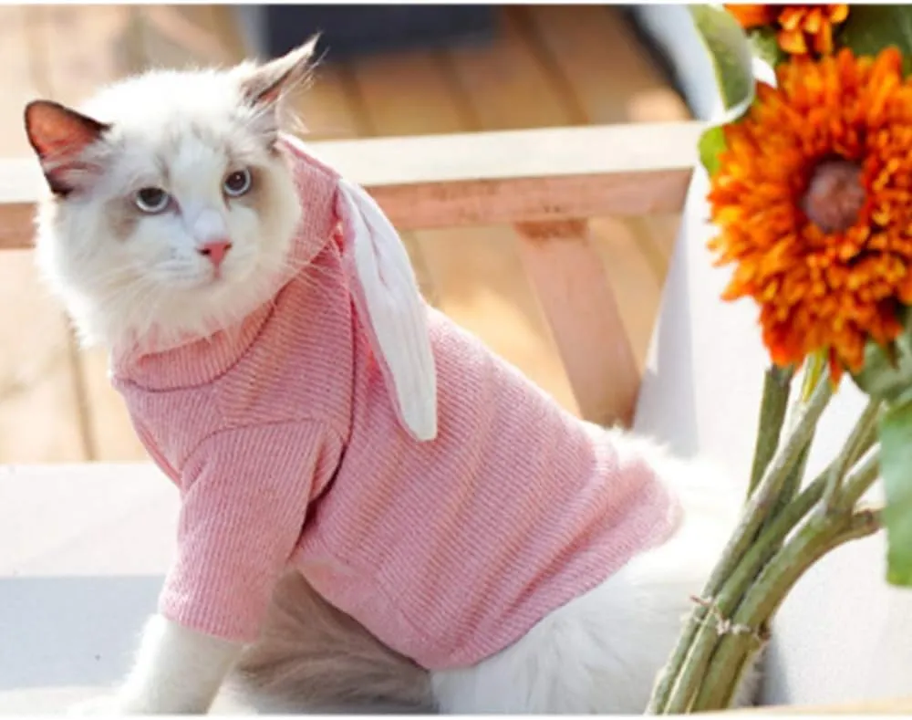 ANIAC Dog Hoodies Sweatshirt with Bunny Ears Spring Puppy Clothes for Small Dog Girl Boy Soft Doggy Sweater Cat Apparel Pet Clothing for Kitten Pomeranian Chihuahua (Large, Pink)