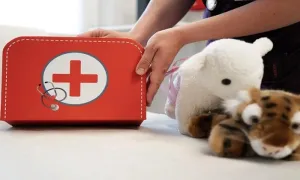 Animal Psychology and Pet First Aid Training Course with Lead Academy