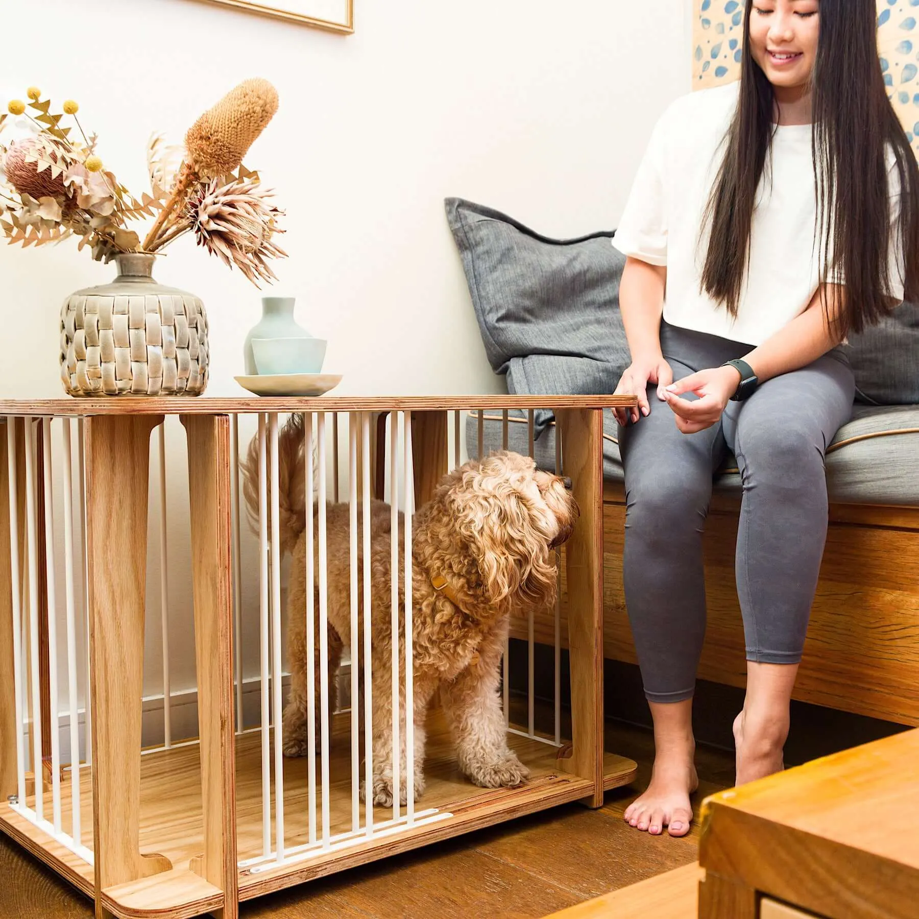 Archie the Luxury Dog Crate