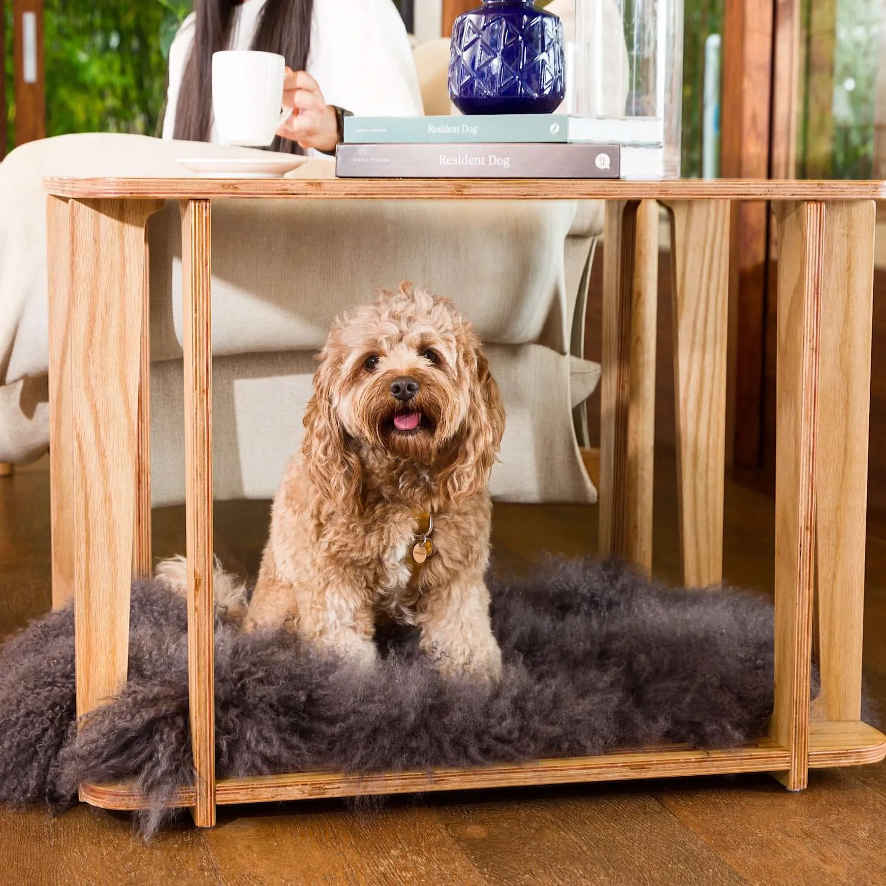 Archie the Luxury Dog Crate