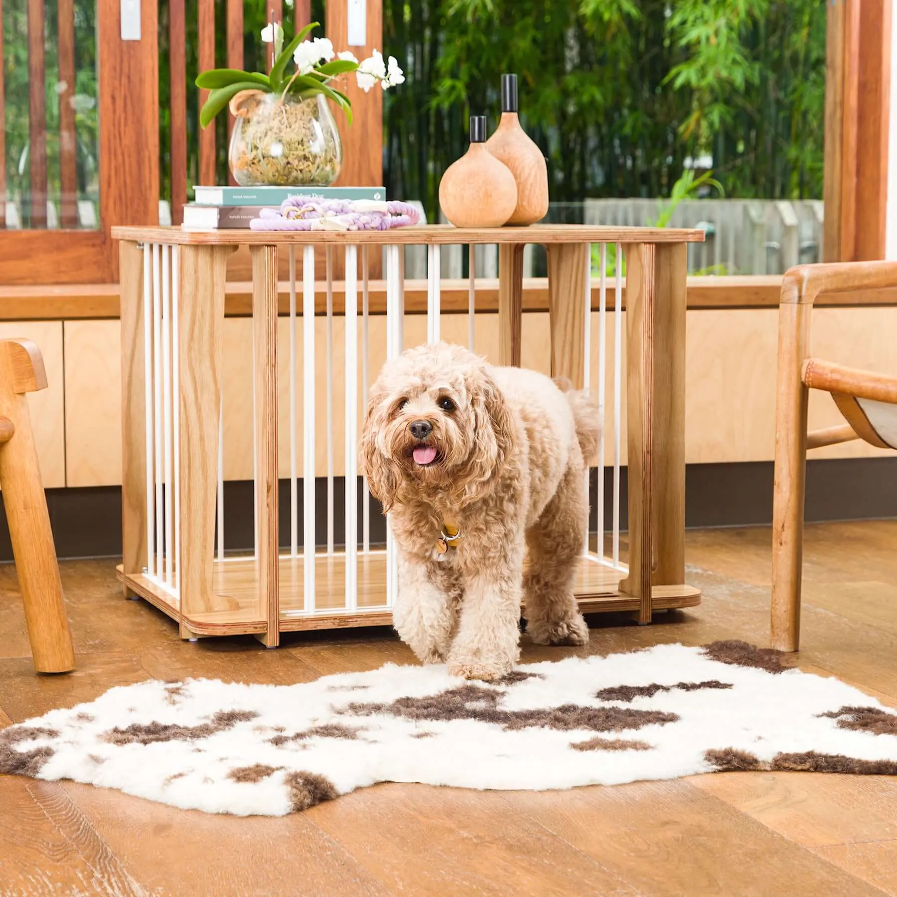 Archie the Luxury Dog Crate