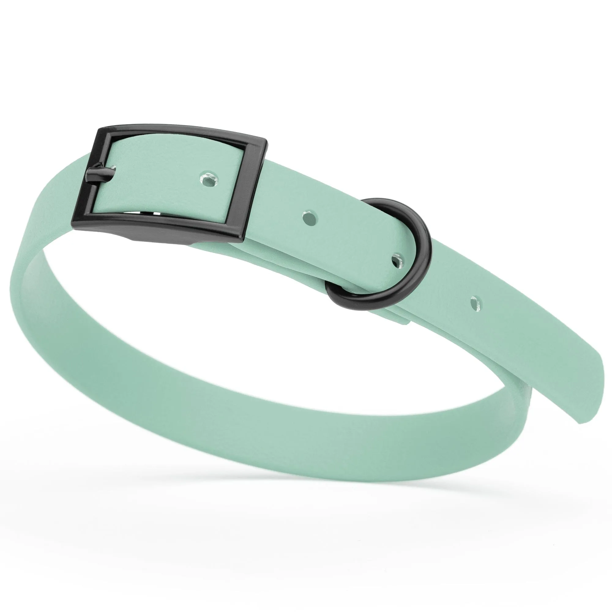 Biothane Waterproof Collar - Small (12 to 15 inches)