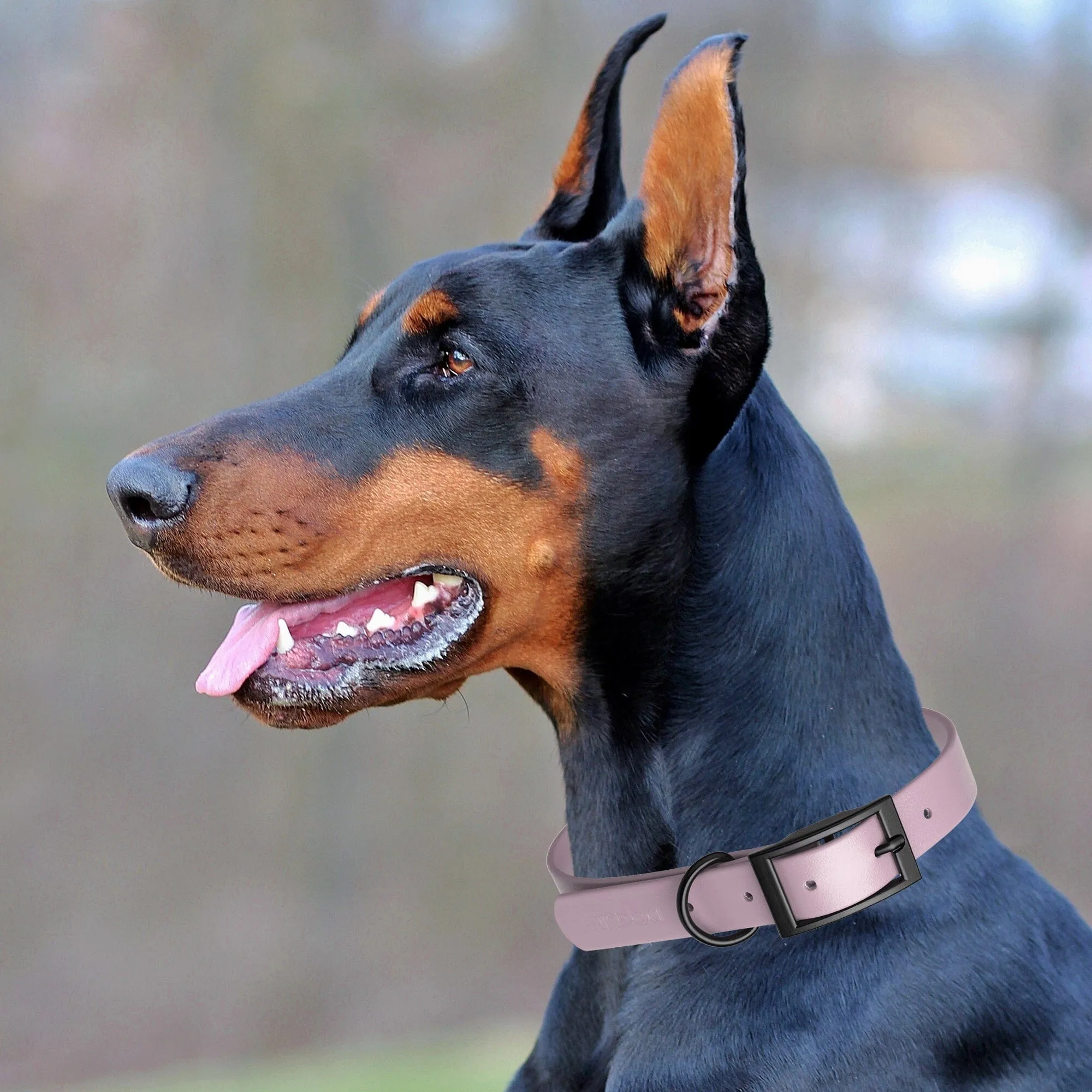 Biothane Waterproof Collar - Small (12 to 15 inches)