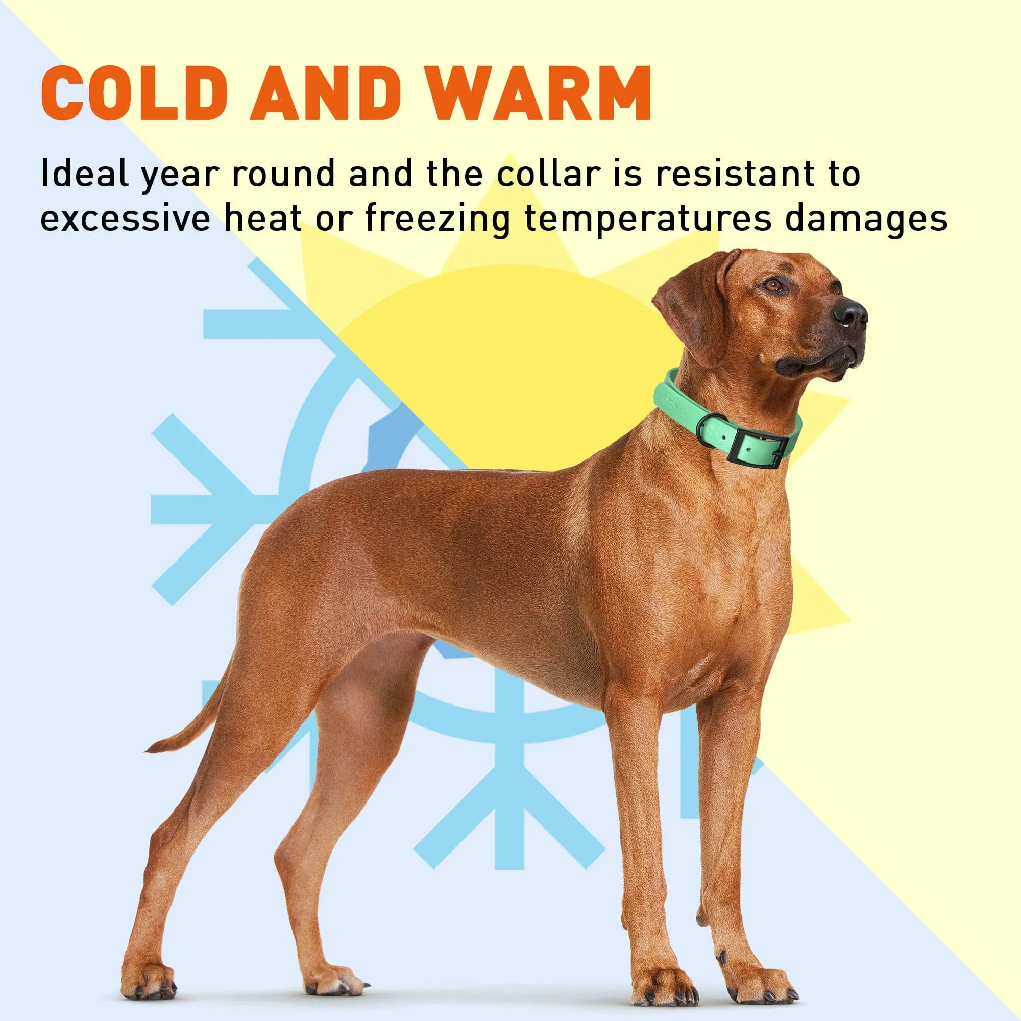 Biothane Waterproof Collar - Small (12 to 15 inches)