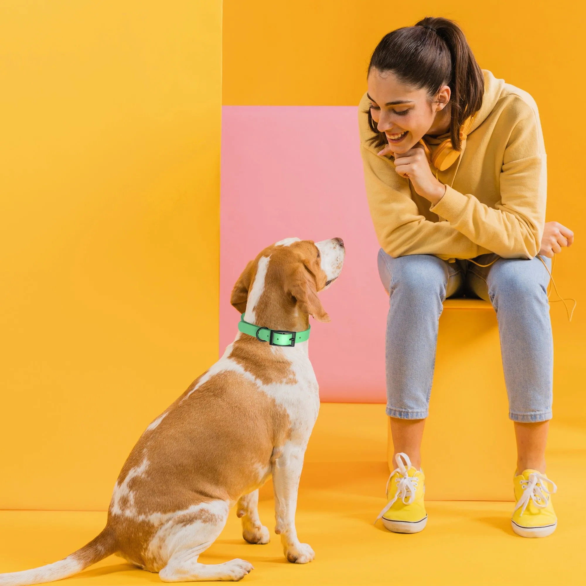 Biothane Waterproof Collar - Small (12 to 15 inches)