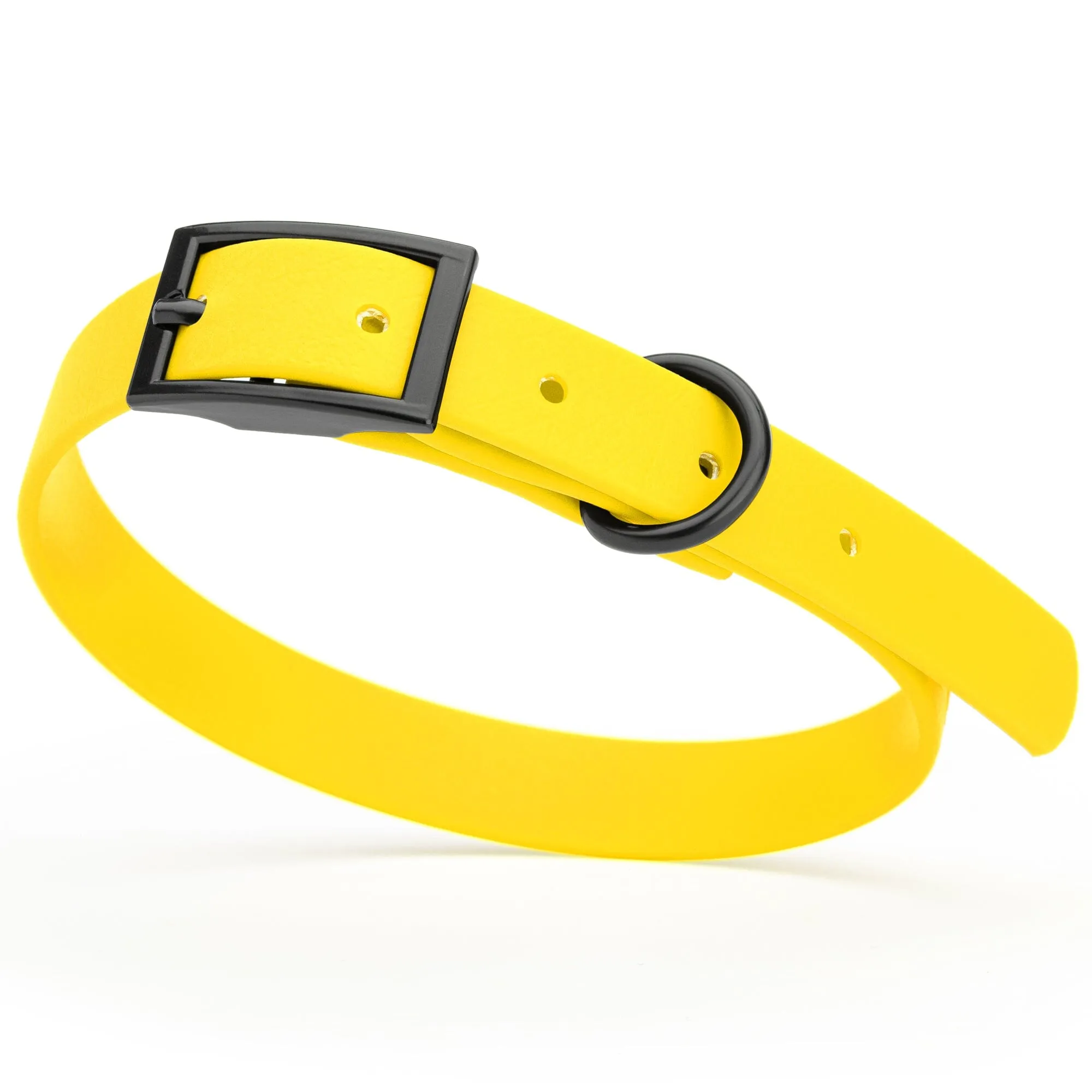 Biothane Waterproof Collar - Small (12 to 15 inches)