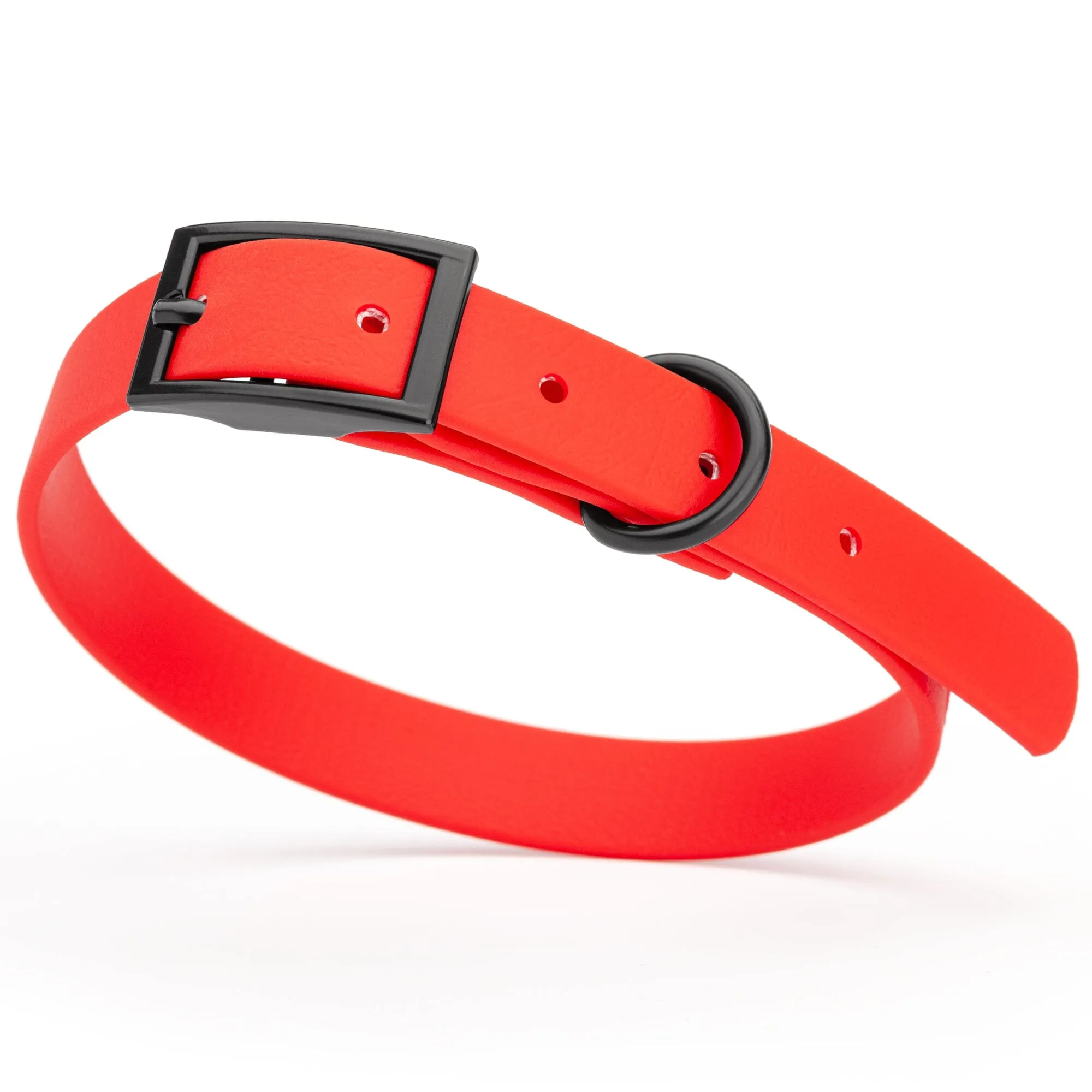Biothane Waterproof Collar - Small (12 to 15 inches)