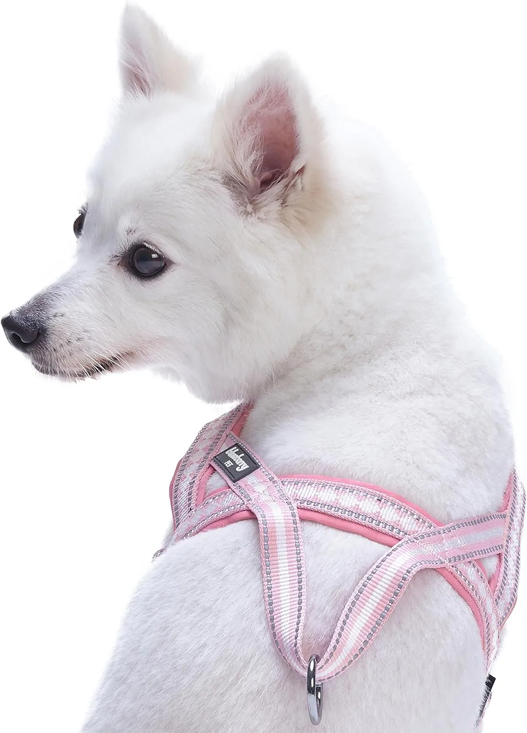 Blueberry Pet 4 Colors Soft & Comfy 3M Reflective Jacquard Padded Dog Harness, Chest Girth 20.5" - 26", Pink, Medium, Adjustable Harnesses for Dogs