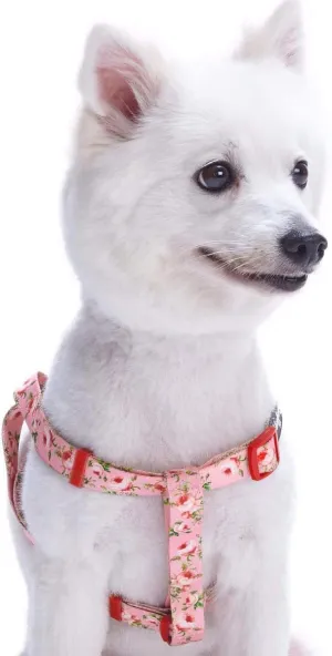 Blueberry Pet 9 Patterns Step-in Spring Scent Inspired Floral Rose Baby Pink Dog Harness, Chest Girth 20" - 26", Medium, Adjustable Harnesses for Dogs