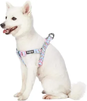 Blueberry Pet 9 Patterns Step-in Spring Scent Inspired Rose Blossom Floral Print Pastel Blue Dog Harness, Chest Girth 26" - 39", Large, Adjustable Harnesses for Dogs