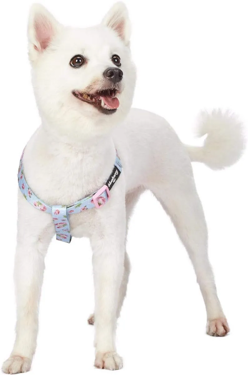 Blueberry Pet 9 Patterns Step-in Spring Scent Inspired Rose Blossom Floral Print Pastel Blue Dog Harness, Chest Girth 26" - 39", Large, Adjustable Harnesses for Dogs