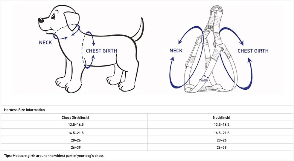 Blueberry Pet 9 Patterns Step-in Spring Scent Inspired Rose Blossom Floral Print Pastel Blue Dog Harness, Chest Girth 26" - 39", Large, Adjustable Harnesses for Dogs
