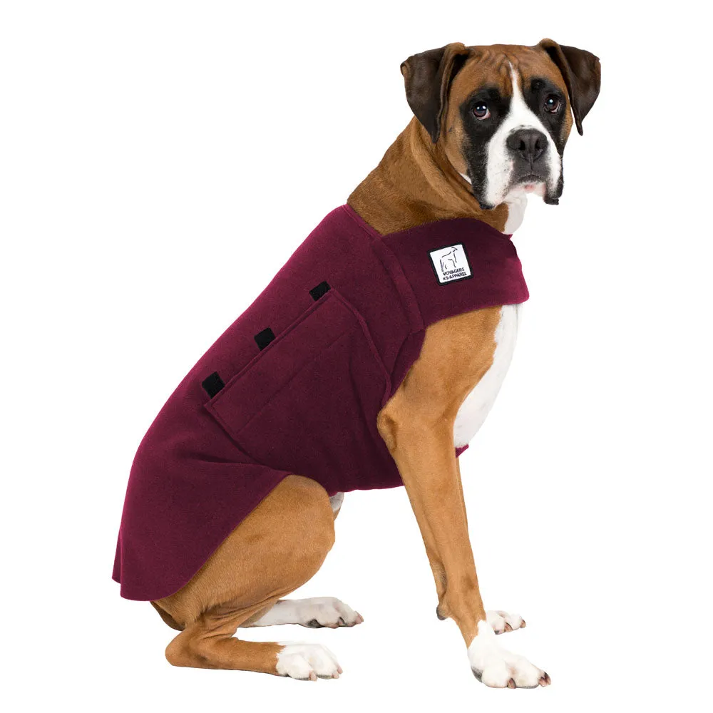 Boxer Tummy Warmer