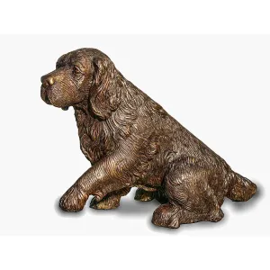 Cocker Spaniel Sitting