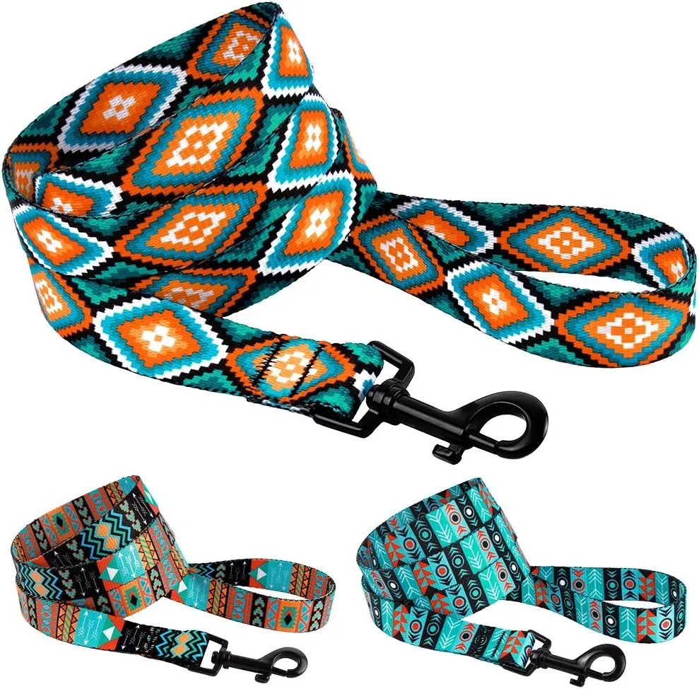 CollarDirect Nylon Dog Leash 5ft Tribal Pattern Durable Walking Pet Leashes for Dogs Small Medium Large Puppy (Pattern 3, S)