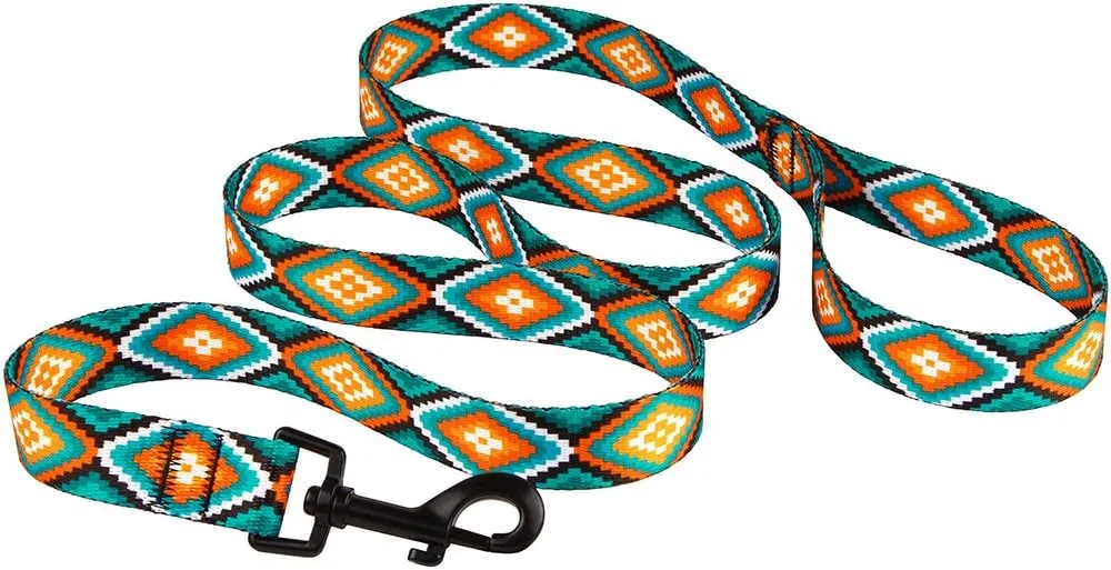 CollarDirect Nylon Dog Leash 5ft Tribal Pattern Durable Walking Pet Leashes for Dogs Small Medium Large Puppy (Pattern 3, S)