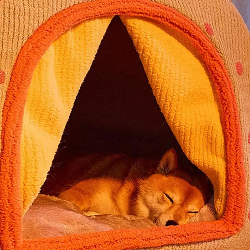 Cozy Dog Semi-Arc Winter Cave Enclosed Washable & Foldable Cat House Bed