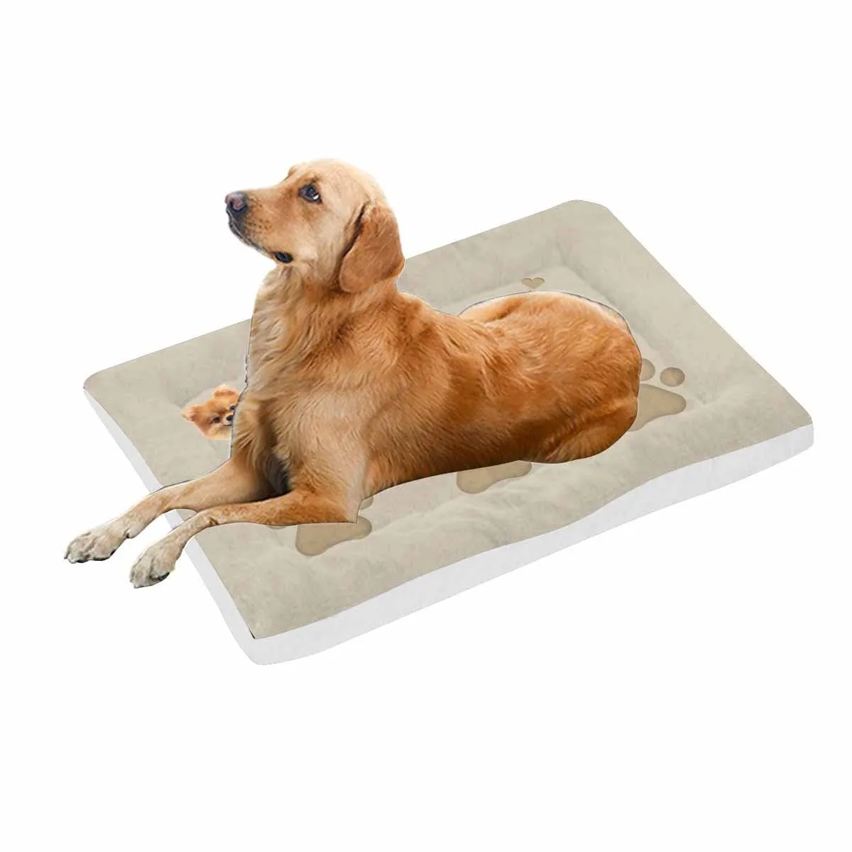 Custom Face&Name Paw Pet Pad