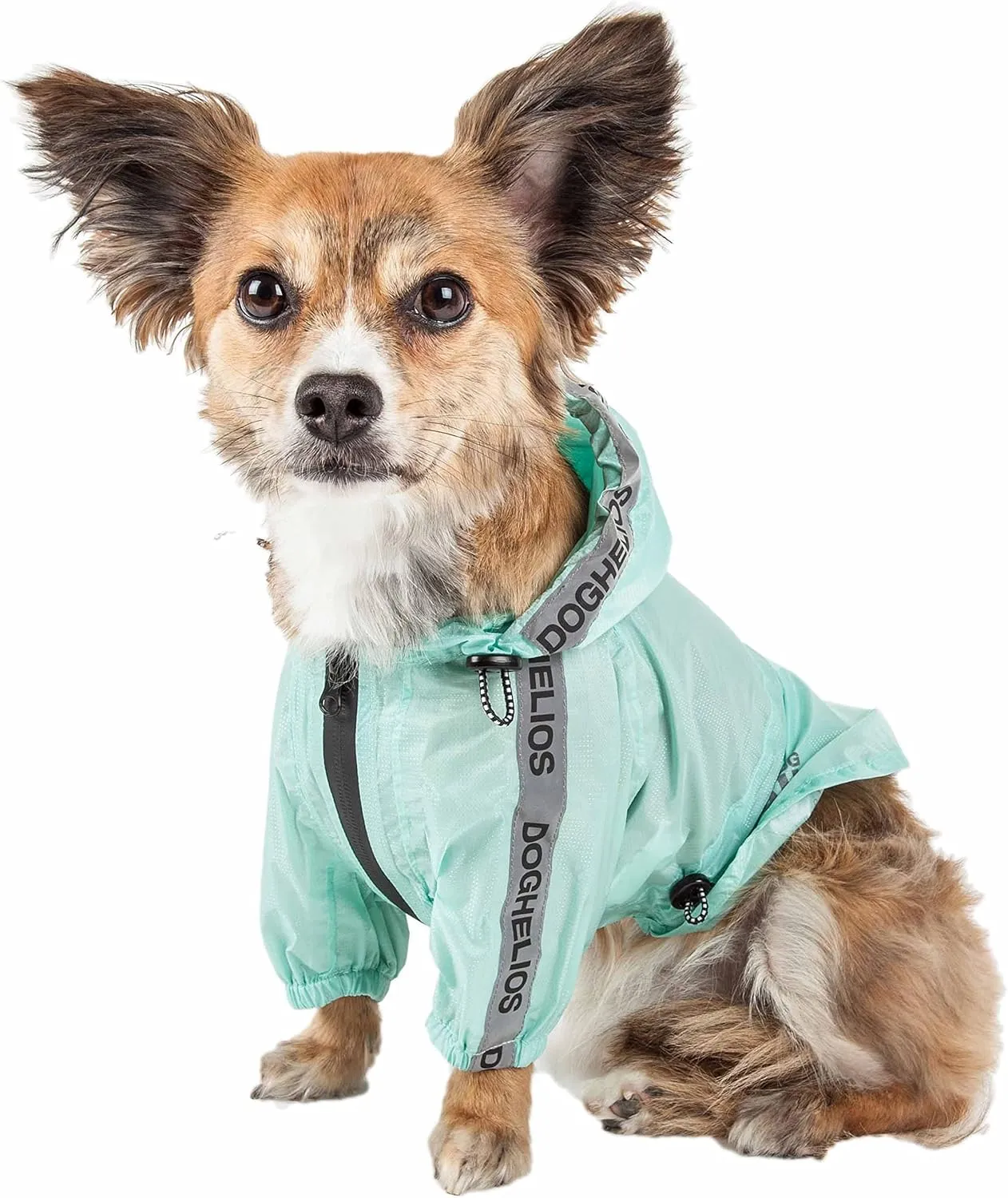 Dog Helios Torrential Shield Adjustable and Waterproof Dog Raincoat Poncho, XS, Green