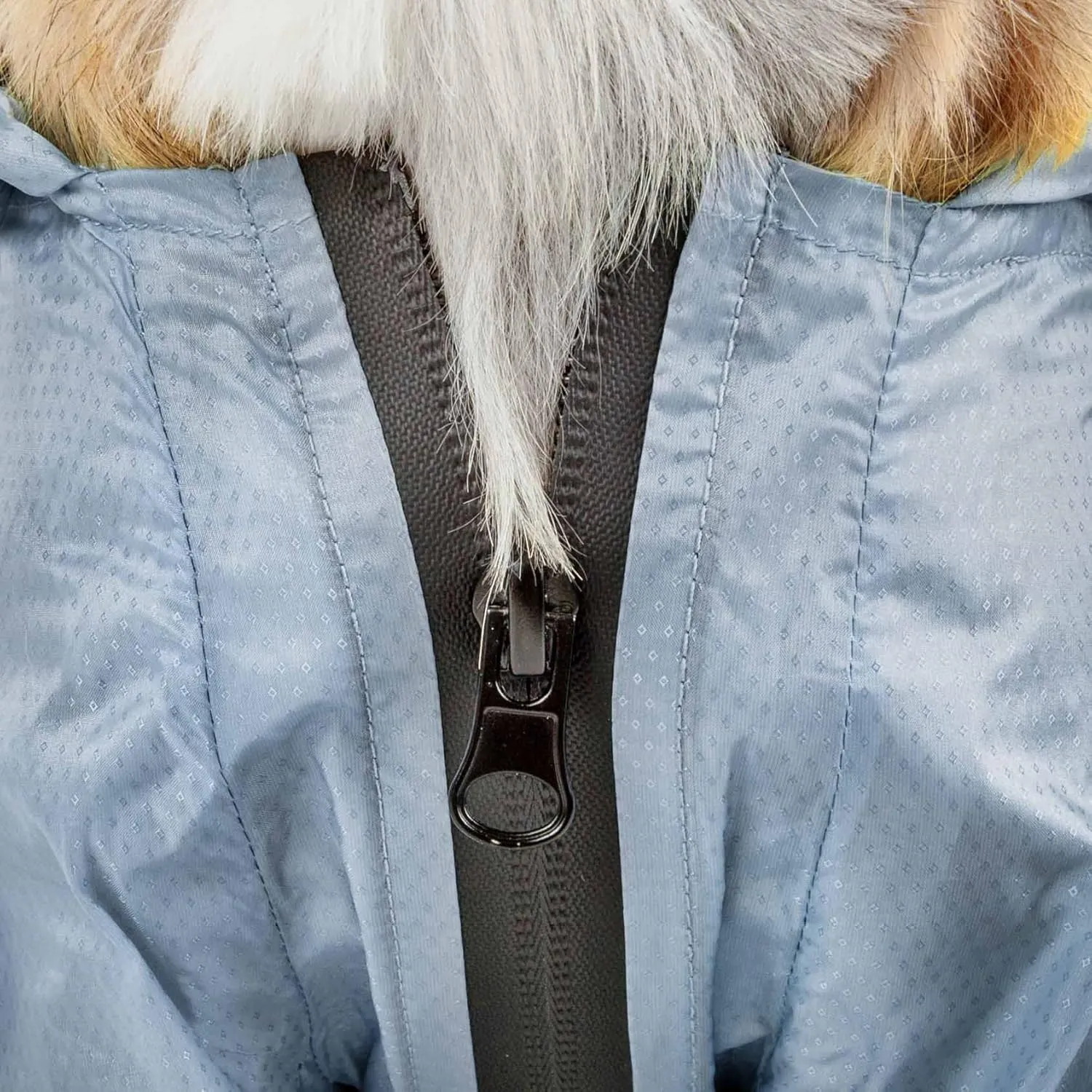 Dog Helios Torrential Shield Waterproof and Adjustable Full Body Dog Raincoat, XS, Blue