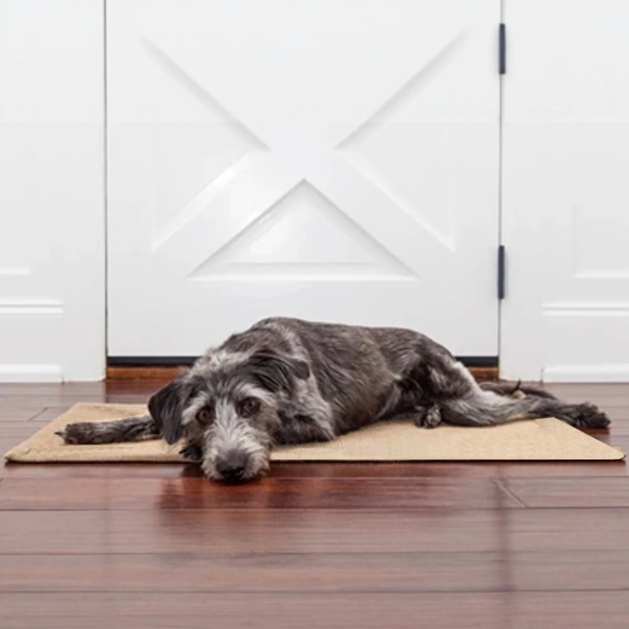 Easy to Clean Cozy Pet Mat - Large - 39" x 27"