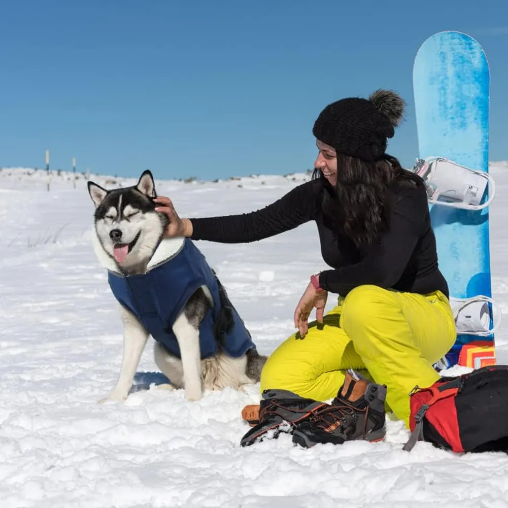 EMUST Winter Dog Jacket, Windproof Dog Apparel for Cold Weather, Reflective Coats for Dogs, Warm Puppy Jacket, Blue S