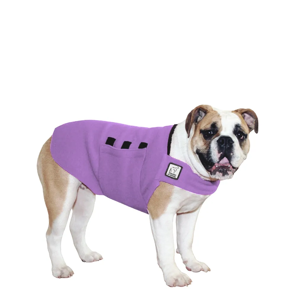 English Bulldog Tummy Warmer