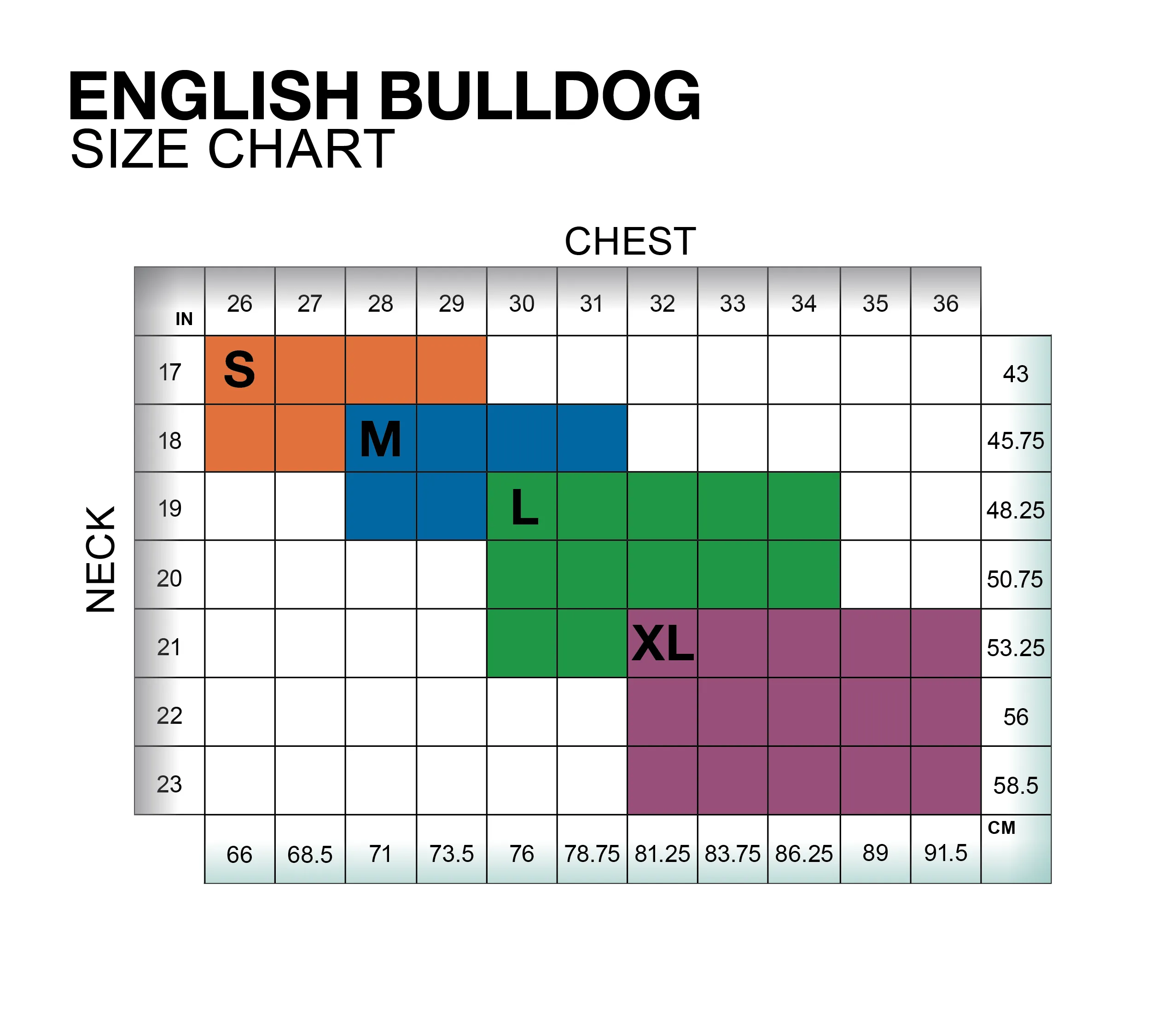 English Bulldog Tummy Warmer
