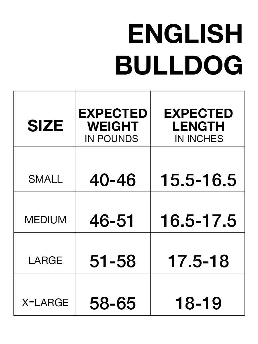 English Bulldog Tummy Warmer