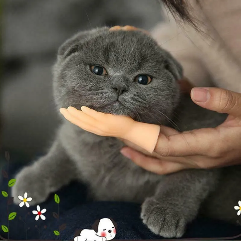 💪🐱Funny Cat Massage Gloves