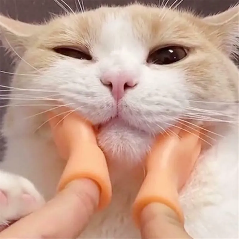 💪🐱Funny Cat Massage Gloves