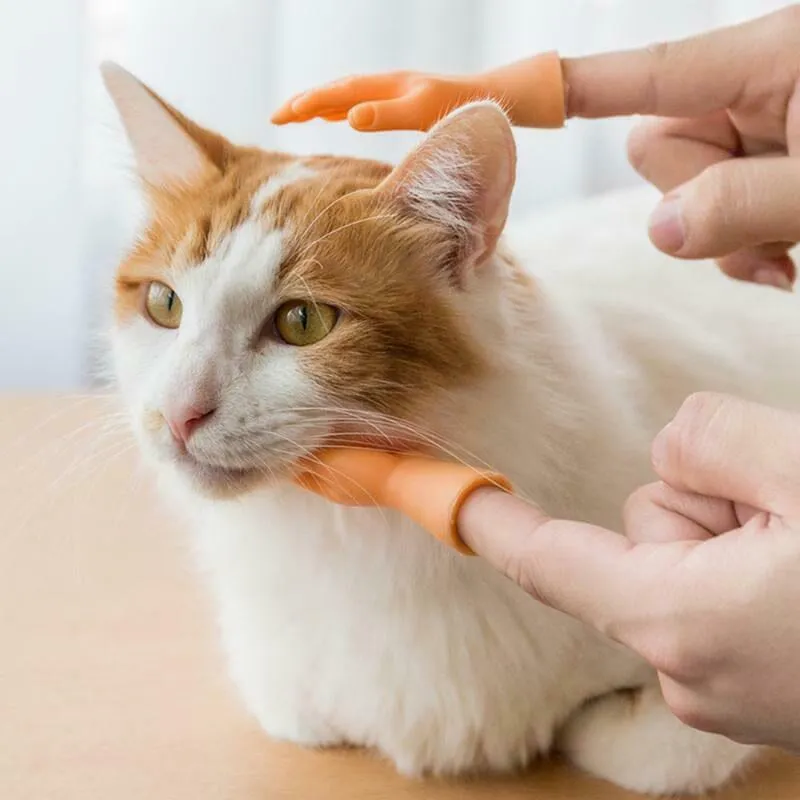 💪🐱Funny Cat Massage Gloves