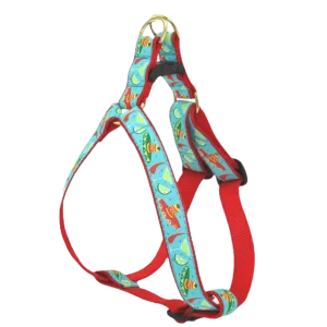 Harness | Cinco de Mayo