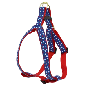 Harness | Stars