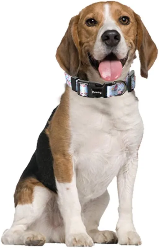Ihoming Dog Collar and Leash Set for Daily Outdoor Walking Running Training, Floral Sky Design for Small Boys Girls Dogs Cats Pets, S-Up to 20LBS