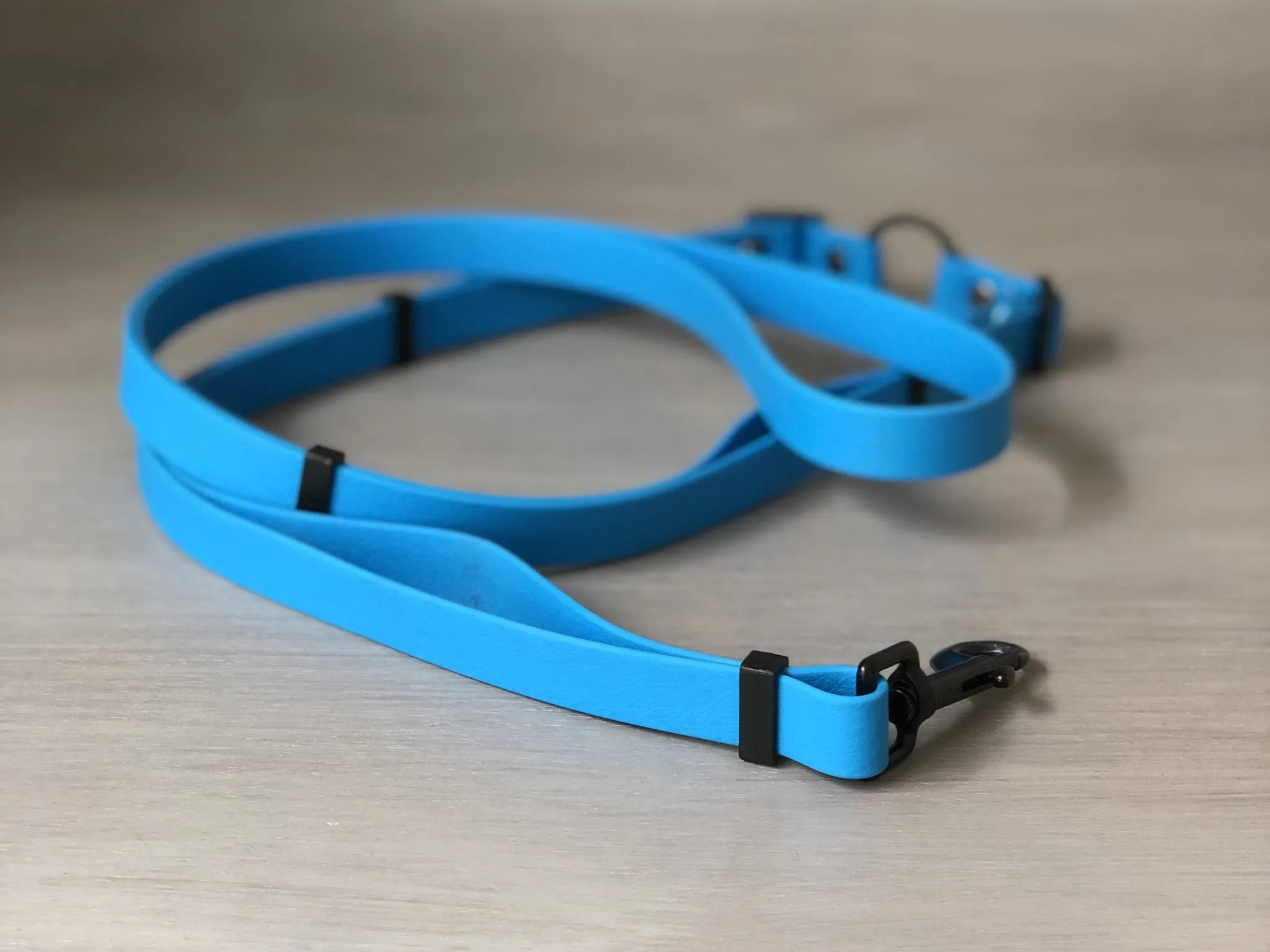 Multifunctional Dog Leash in Colorful Waterproof Coated Webbing