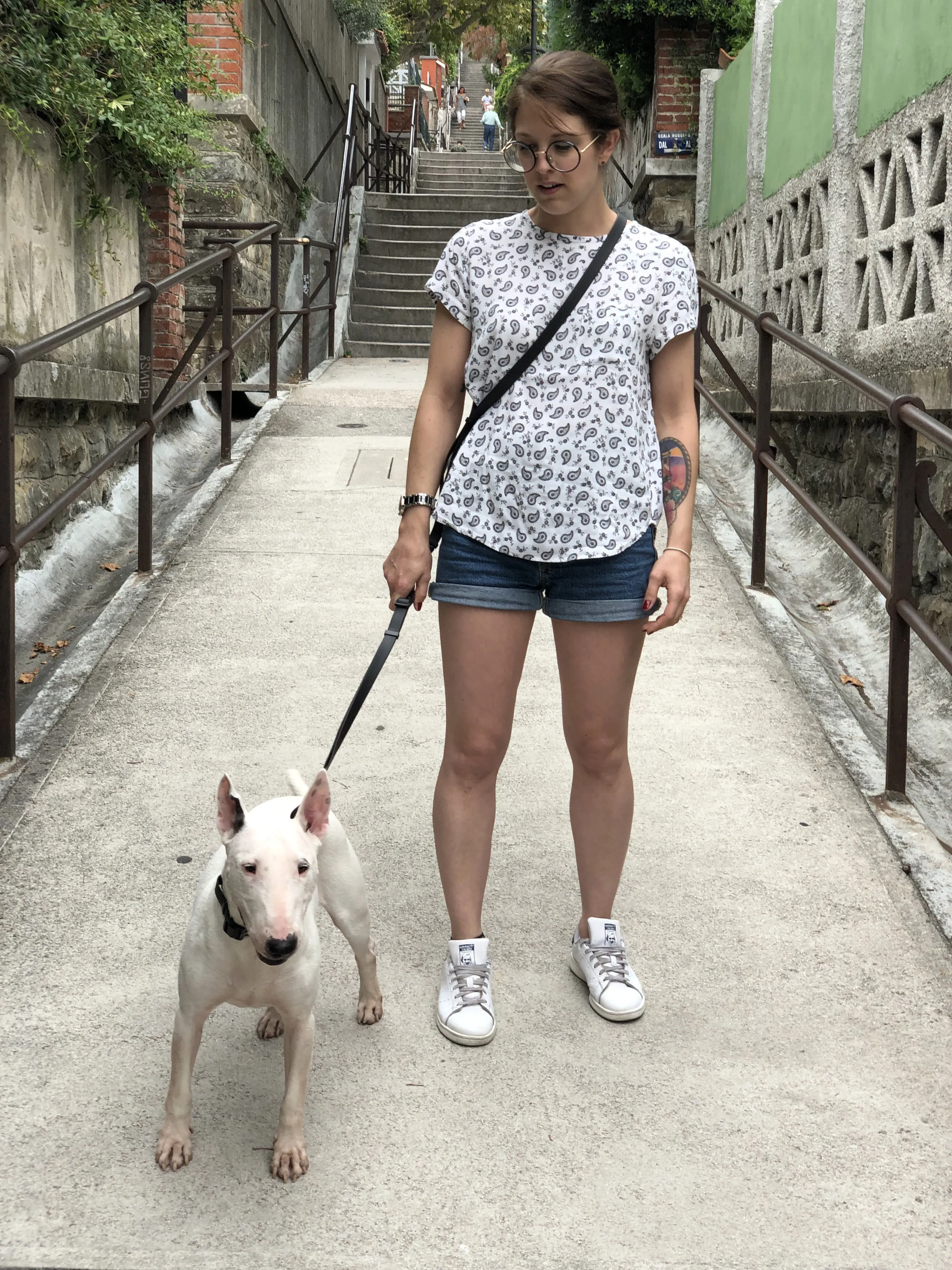 Multifunctional Dog Leash in Colorful Waterproof Coated Webbing