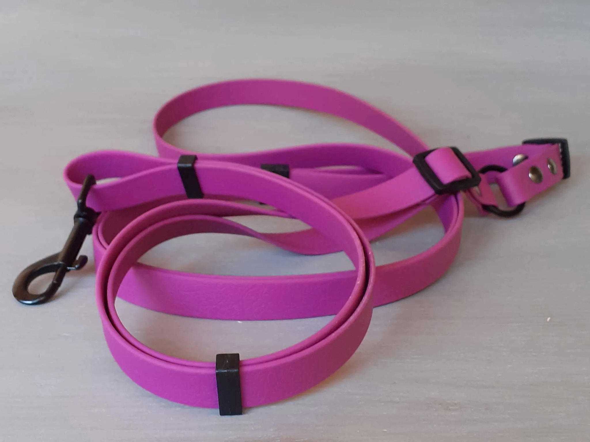 Multifunctional Dog Leash in Colorful Waterproof Coated Webbing