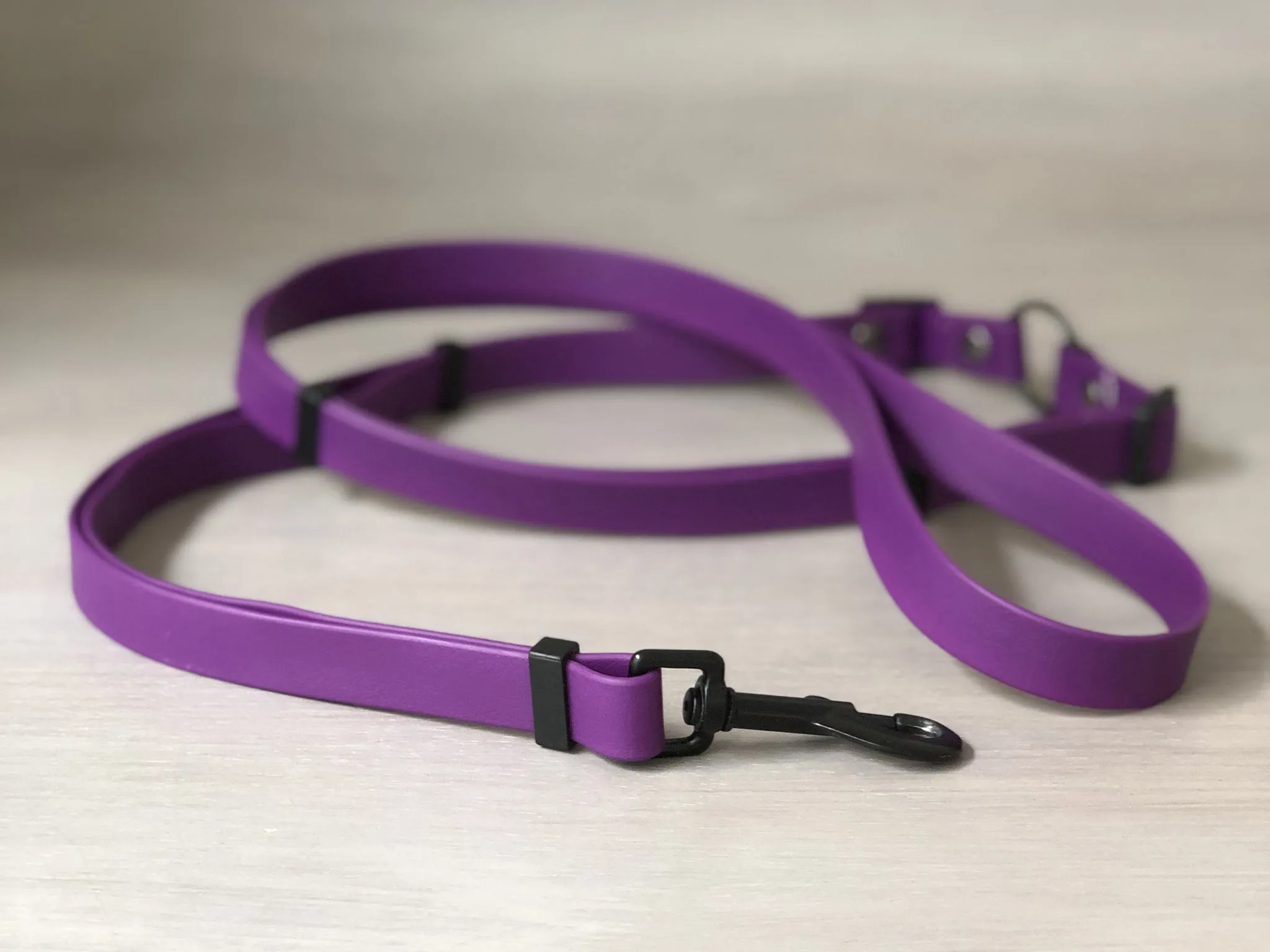 Multifunctional Dog Leash in Colorful Waterproof Coated Webbing