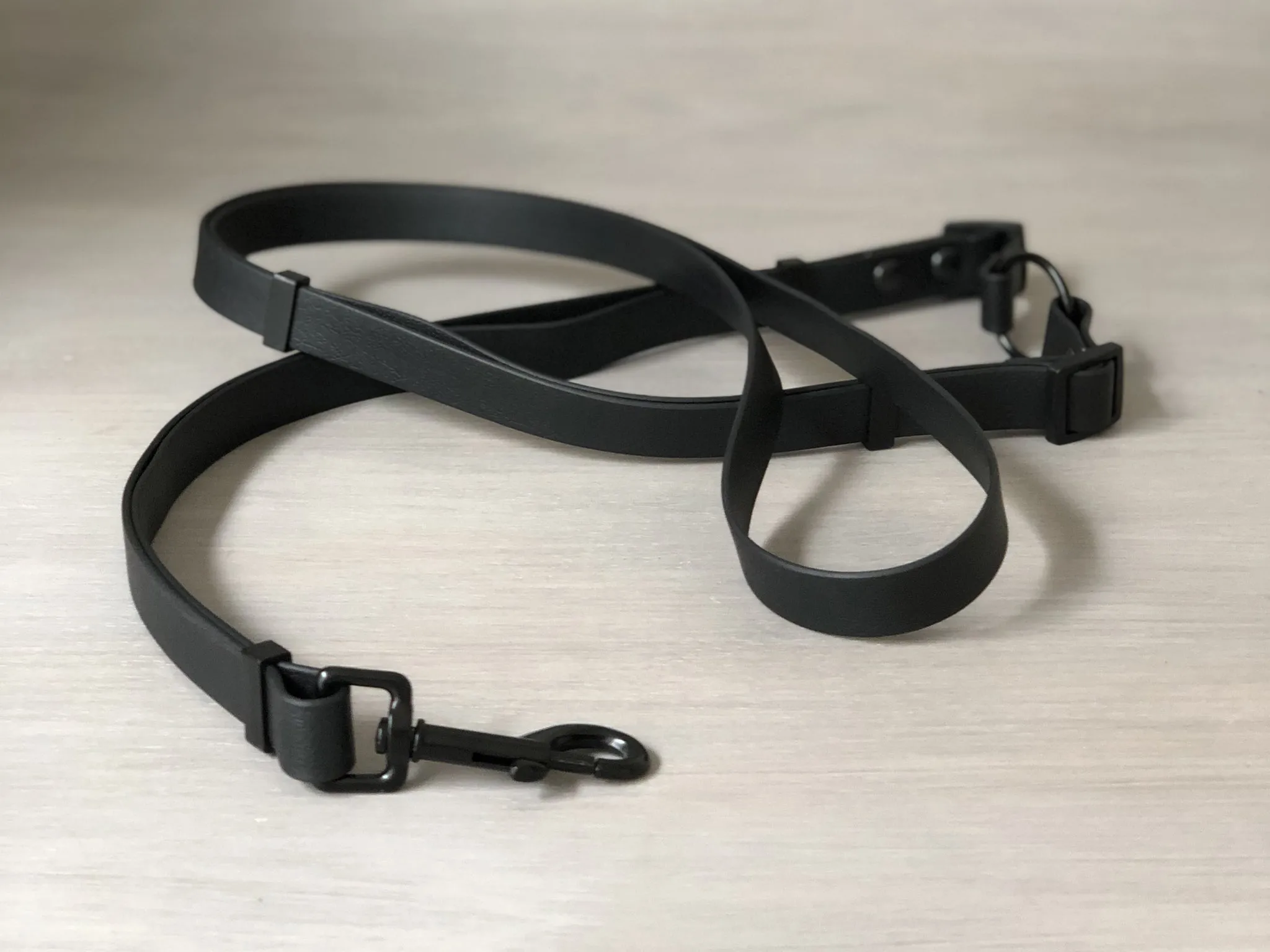 Multifunctional Dog Leash in Colorful Waterproof Coated Webbing