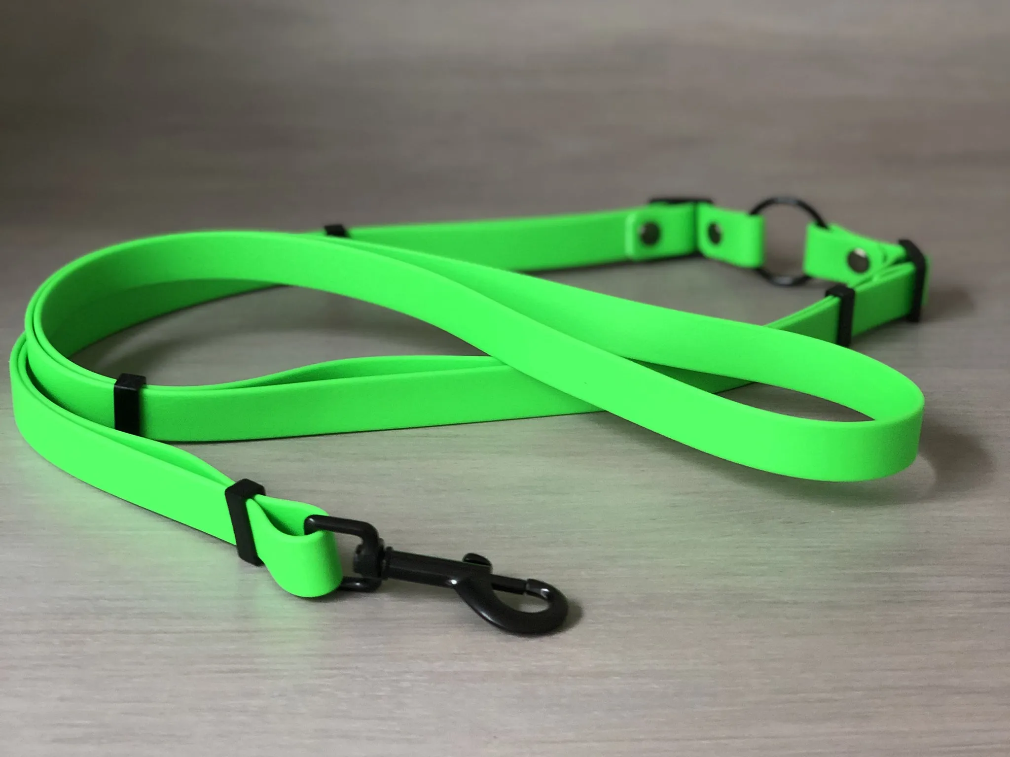 Multifunctional Dog Leash in Colorful Waterproof Coated Webbing