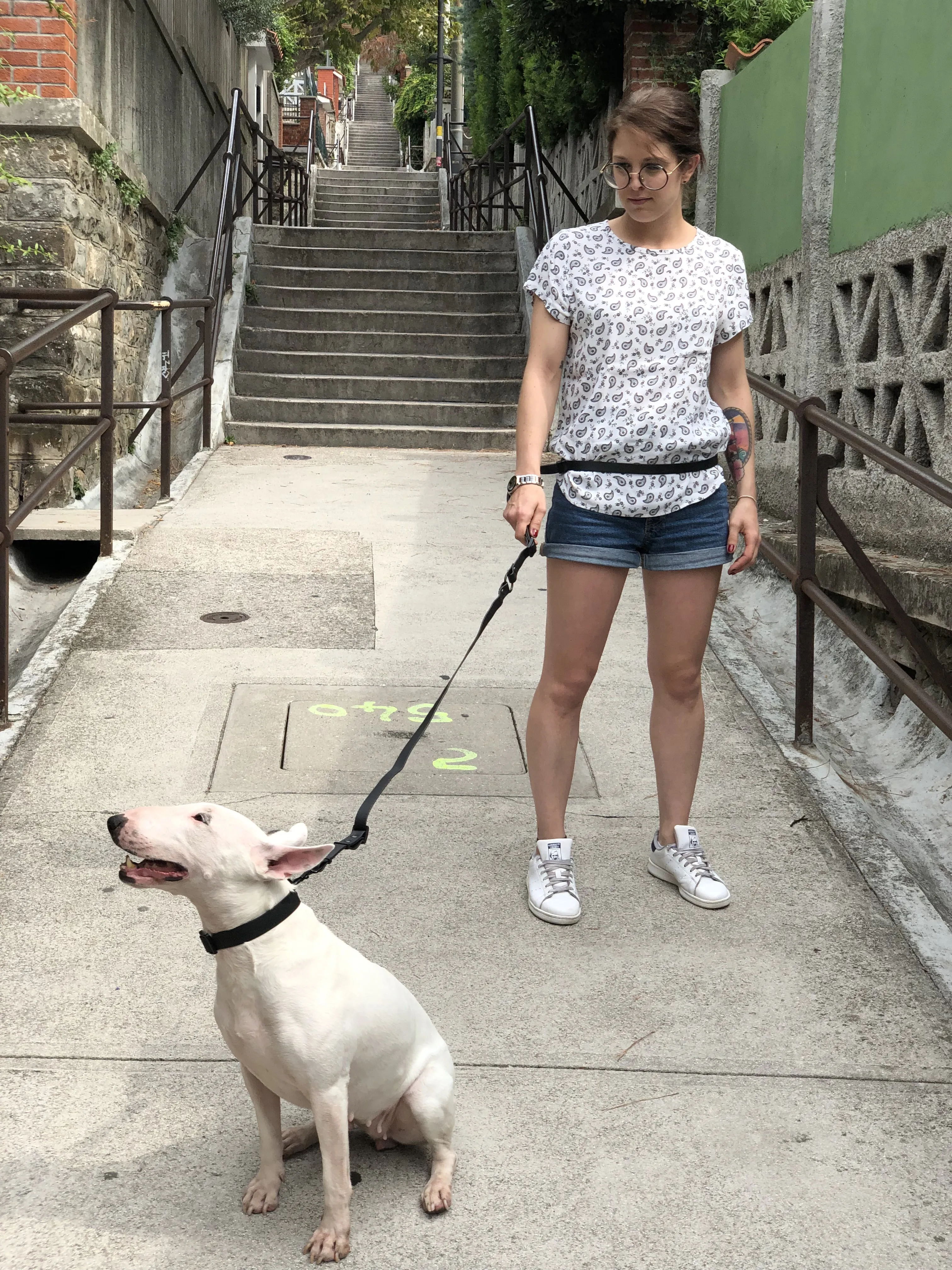 Multifunctional Dog Leash in Colorful Waterproof Coated Webbing