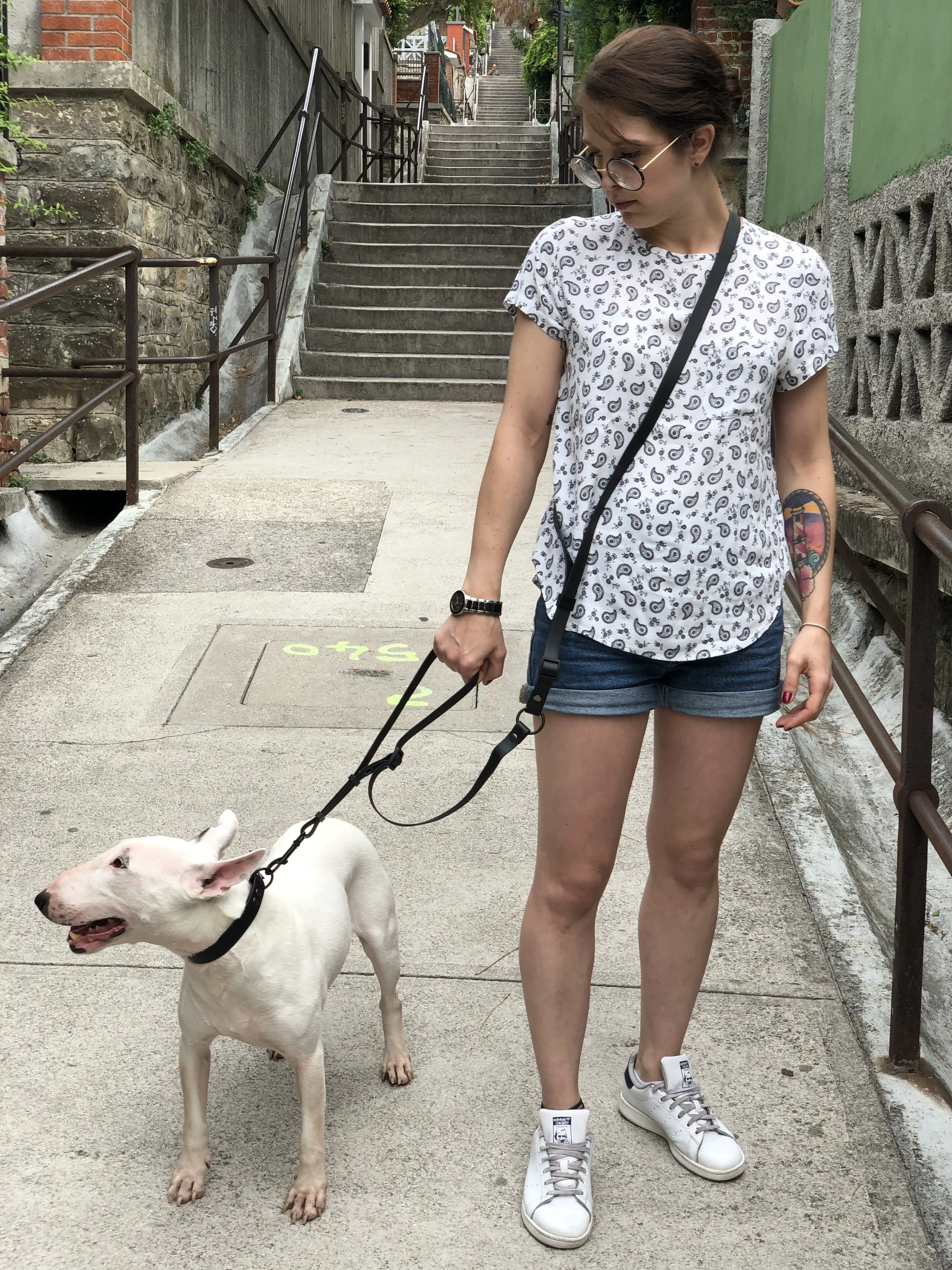 Multifunctional Dog Leash in Colorful Waterproof Coated Webbing