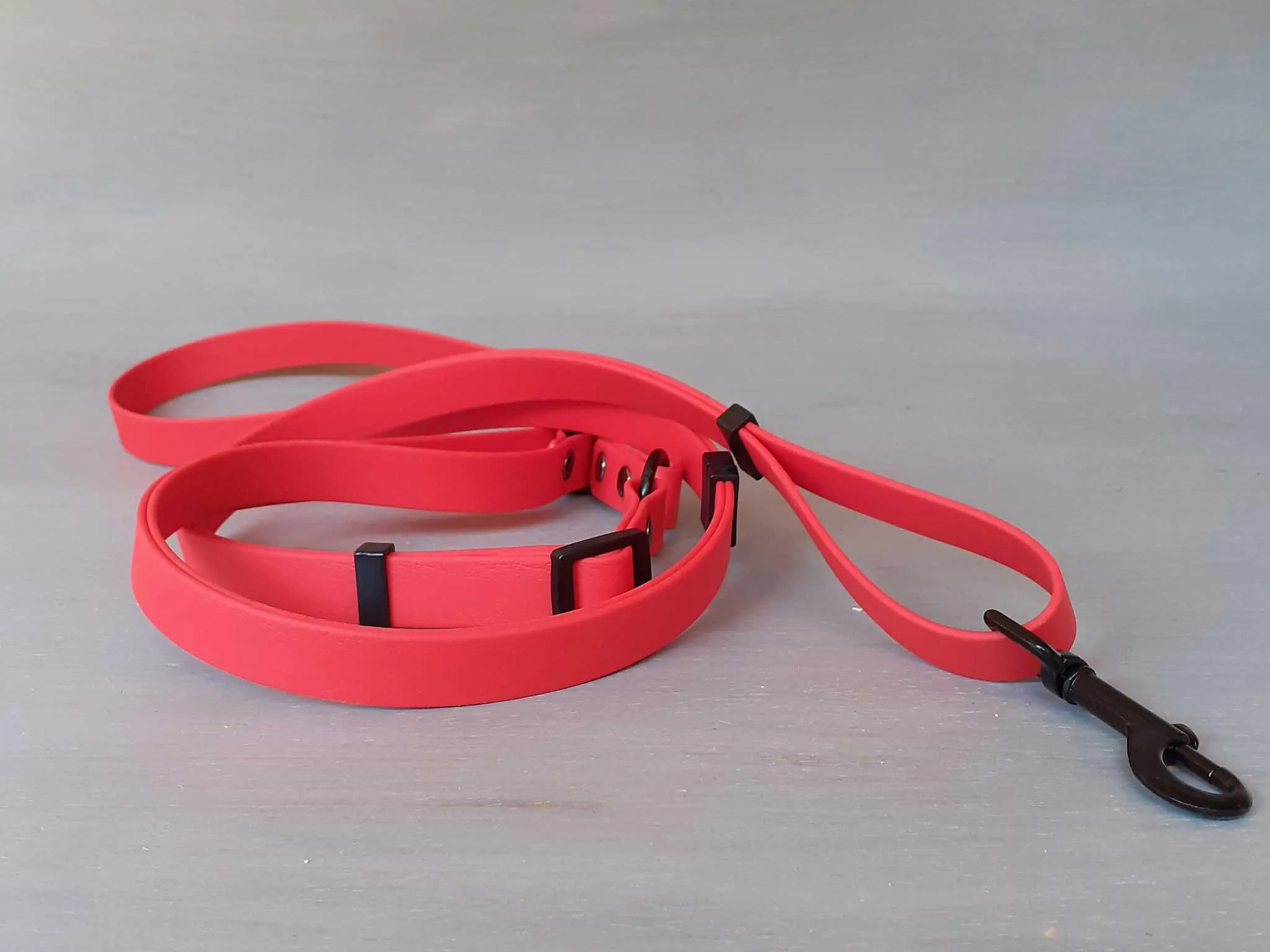 Multifunctional Dog Leash in Colorful Waterproof Coated Webbing
