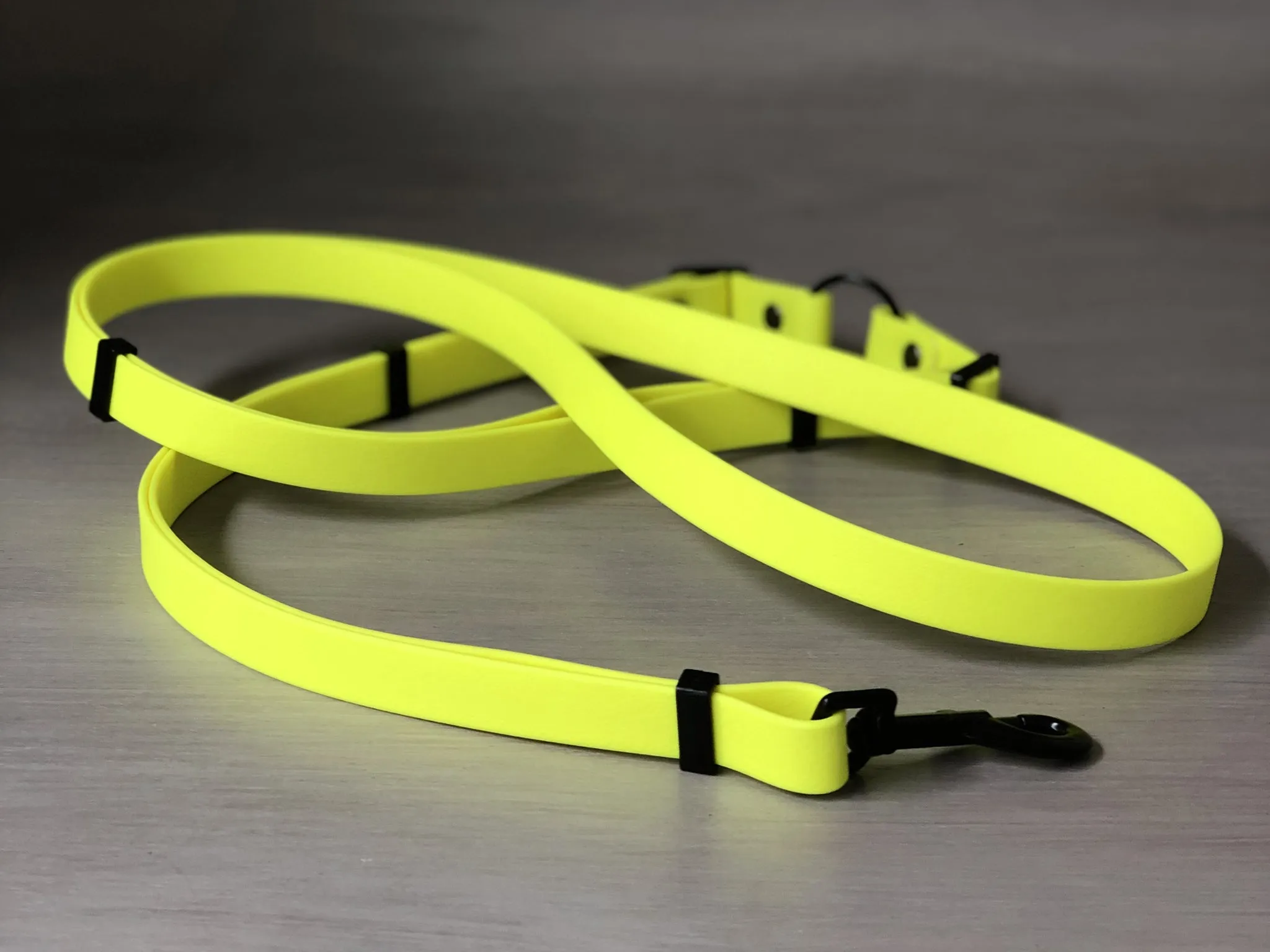 Multifunctional Dog Leash in Colorful Waterproof Coated Webbing