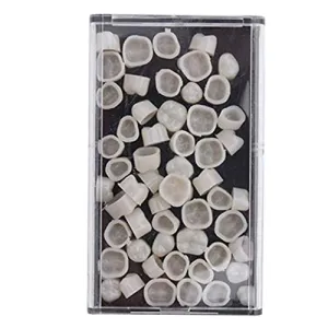 New Dental Temporary Crown Material for Molar Teeth with High Quality 1 Box by Superdental