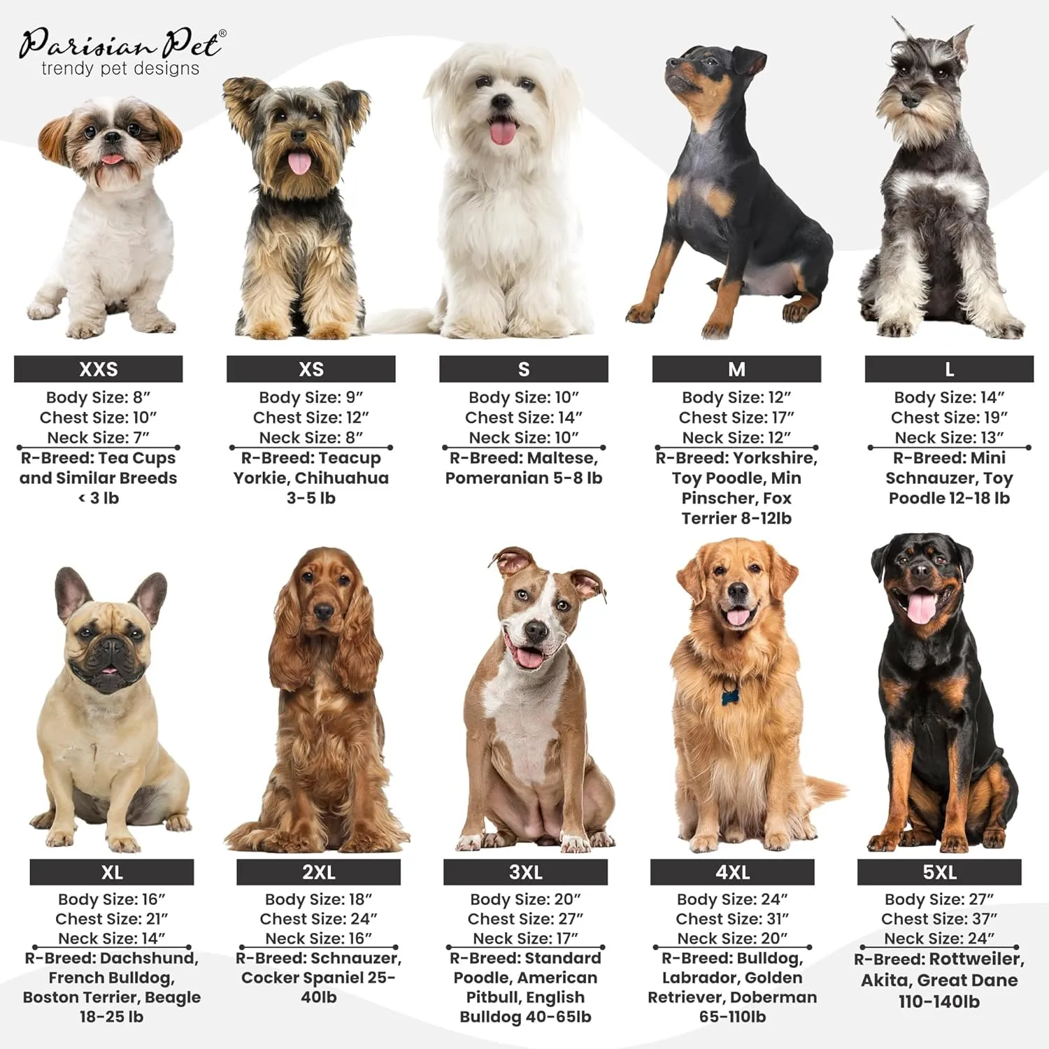 Parisian Pet Basic Dog Hoodie  Lightweight Printed Blessed Dog Sweatshirt  Pullover Hoodies for Dogs with Leash Hole and Pockets  Cotton, Polyester Dog Clothes for Medium Dogs - M