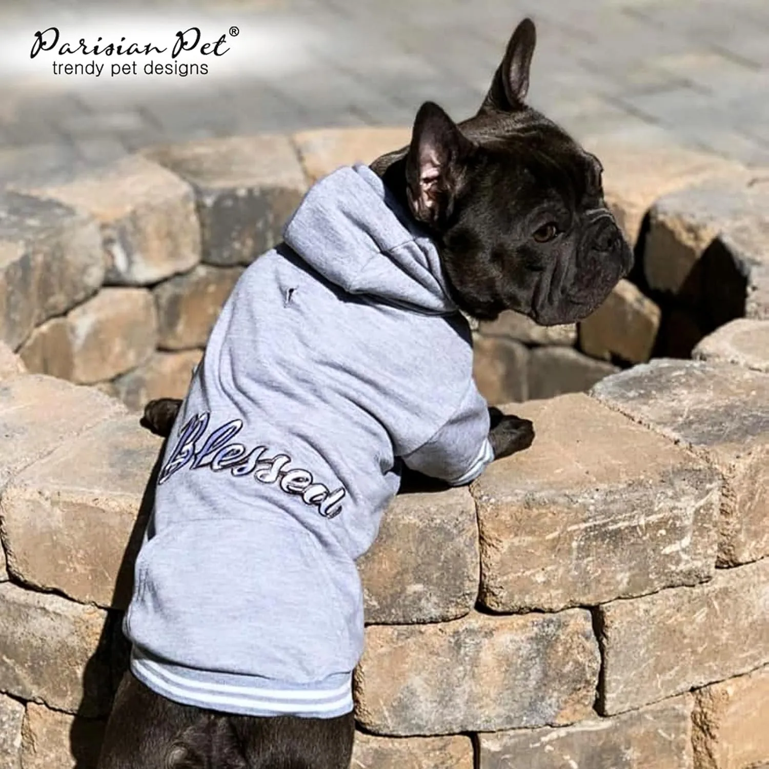 Parisian Pet Basic Dog Hoodie  Lightweight Printed Blessed Dog Sweatshirt  Pullover Hoodies for Dogs with Leash Hole and Pockets  Cotton, Polyester Dog Clothes for Medium Dogs - M